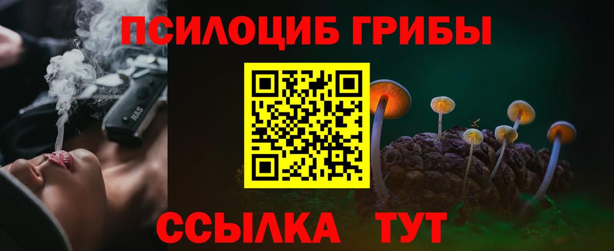 Рубцовск  Галлюциногенные грибы прущие грибы  Вход с VPN 